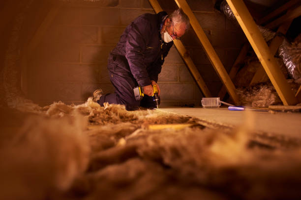 Best Eco-Friendly Insulation in Carolina Shores, NC